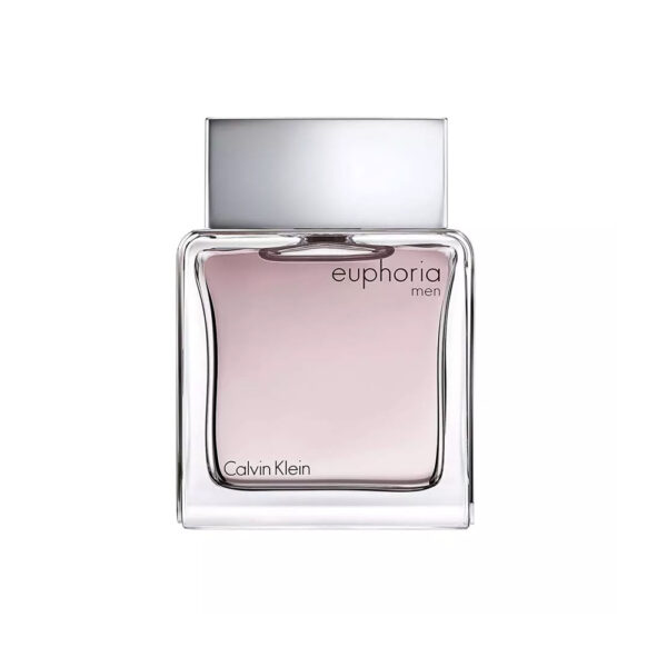 Calvin Klein Euphoria Eau de Toilette - 100ml