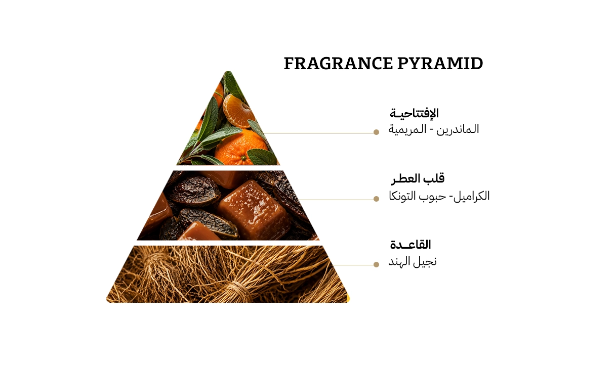 جان بول غوتييه سكاندل او دي تواليت - 100مل