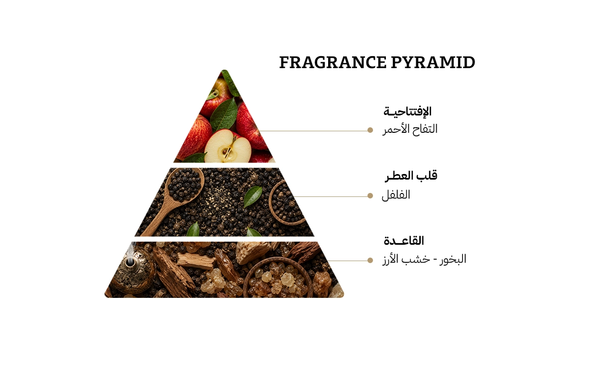دانهيل كاستم او دي توليت – 100مل