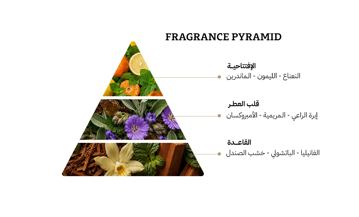 فرزاتشي ايروس او دي بارفيوم - 100مل