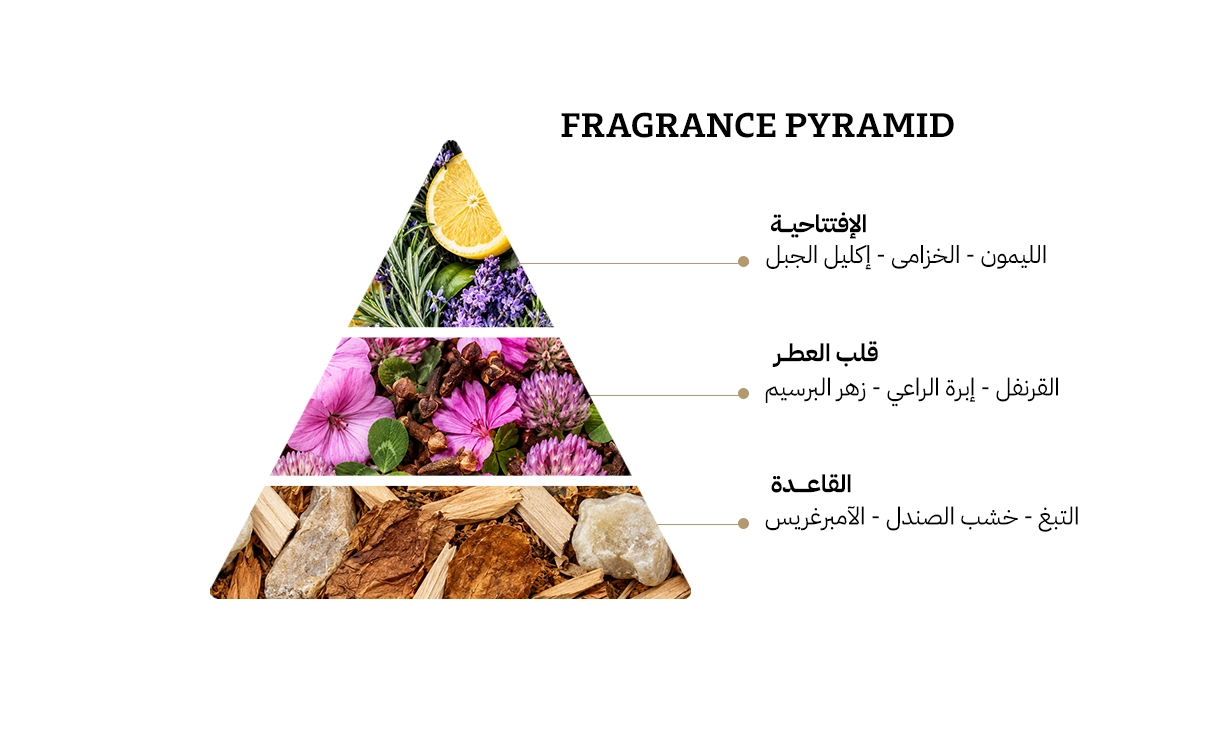كارولينا هيريرا او دي تواليت – 100مل
