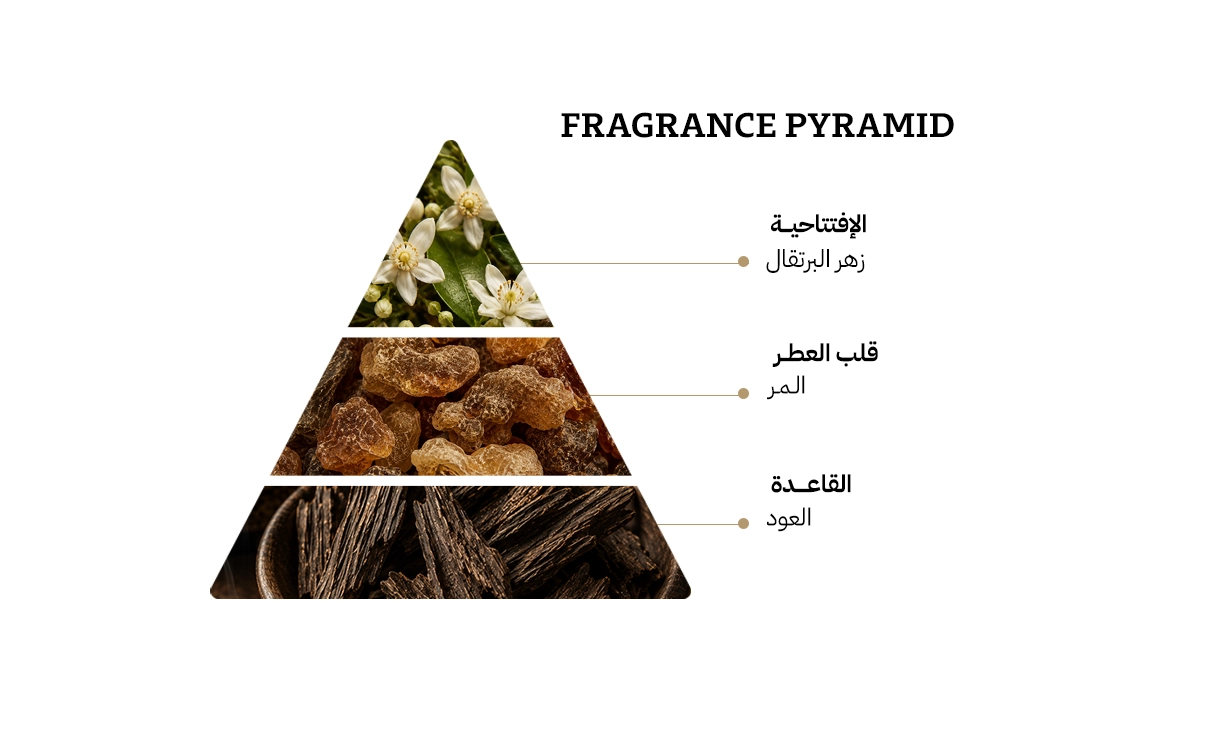 هوجو بوس عود اورماتك او دي بارفيوم - 100مل