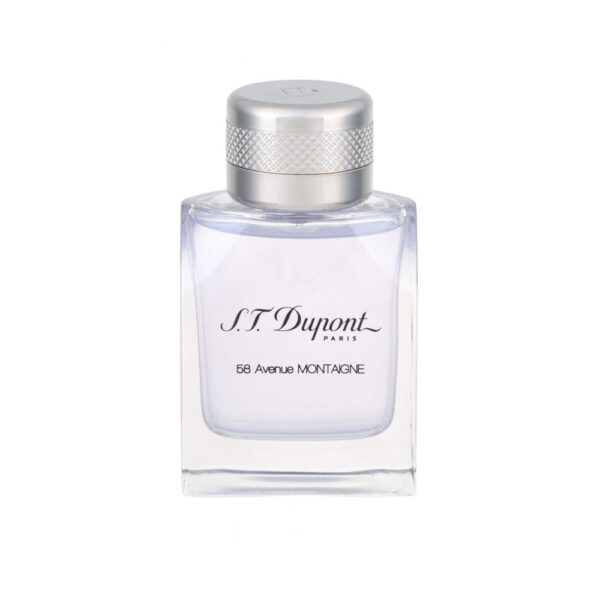 ST Dupont Avenue Mountain 58 Eau de Toilette - 100ml