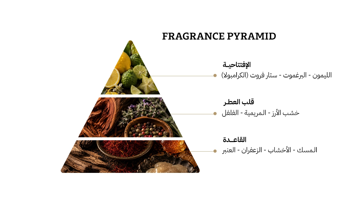 فرزاتشى مان او فريش او دي تواليت - 100مل