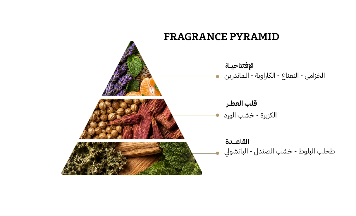 كارتير باشا او دي تواليت - 100مل