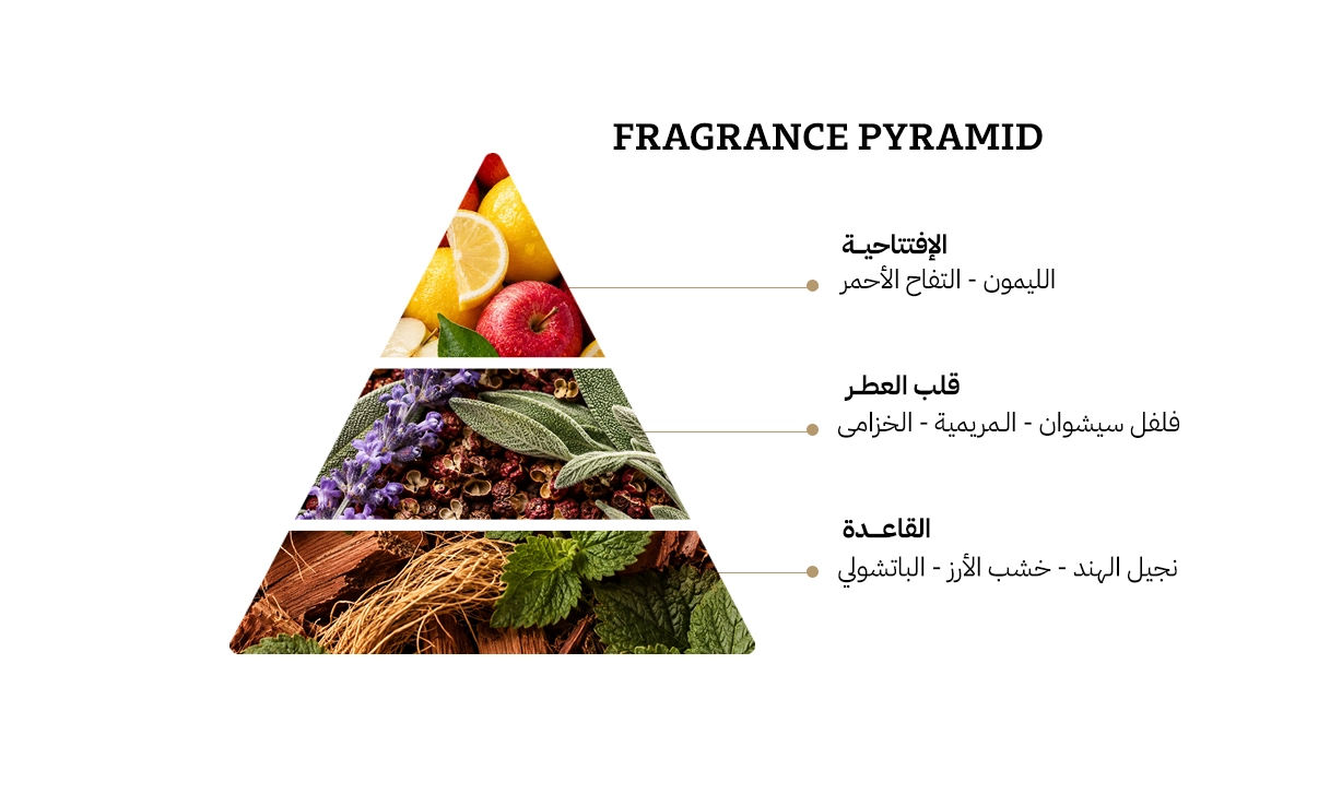 كوتش اوبن رود او دي تواليت - 100مل