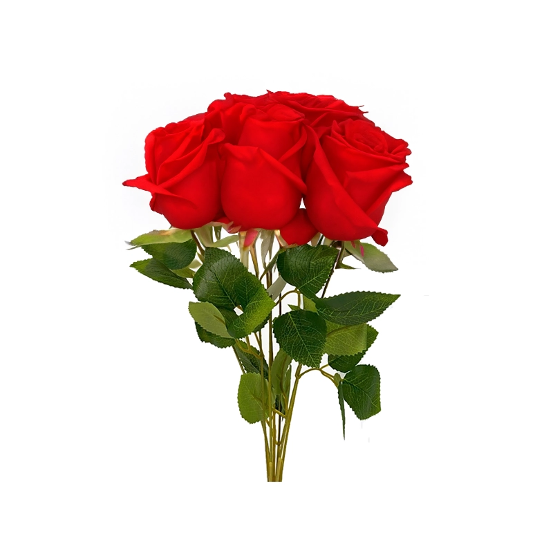 جوري أحمر