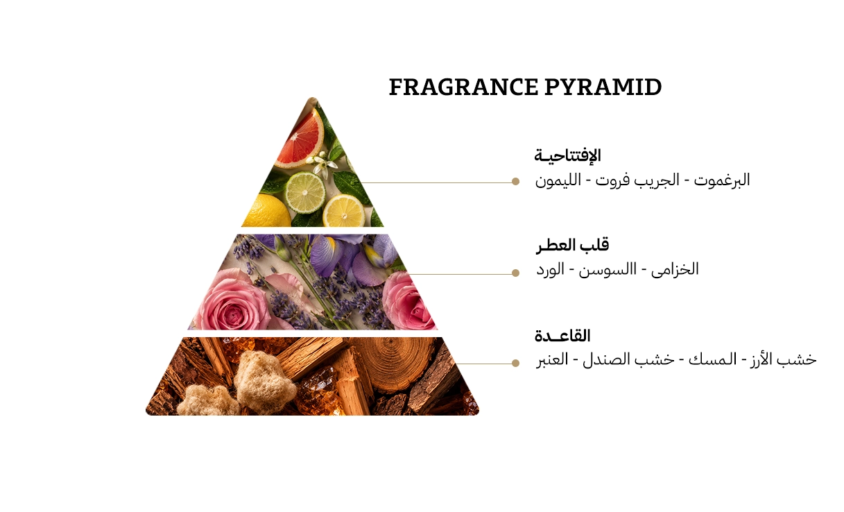 زيرجوف كازموراتي مفيستو او دي بارفيوم - 100مل