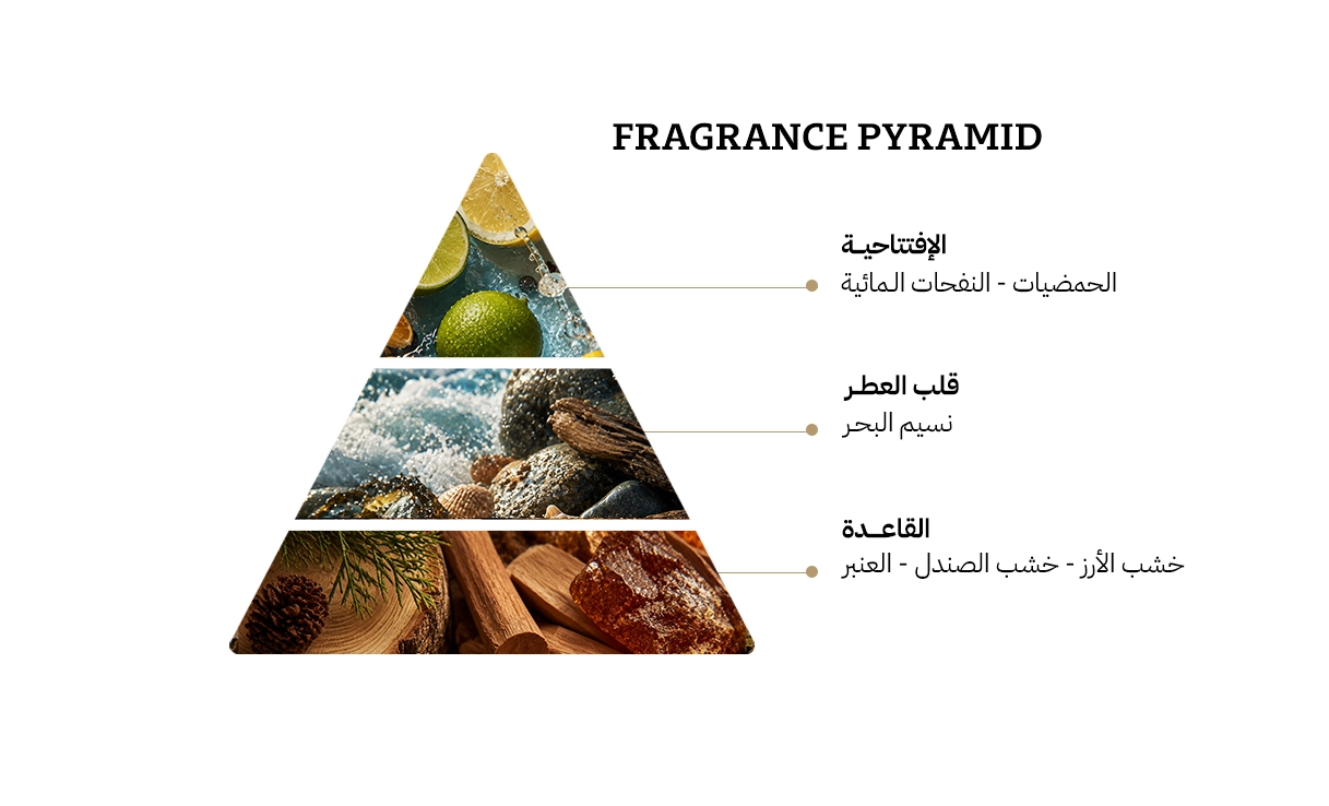 كارتير باشا اديشن نوار سبورت او دي تواليت - 100مل
