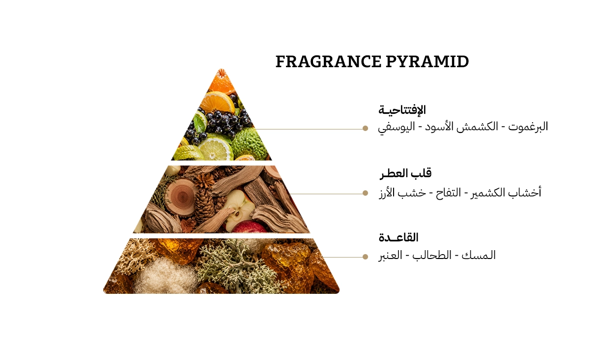 غابرليس يس ايم ذا كنج ايفولوشن او دي بارفيوم - 100مل