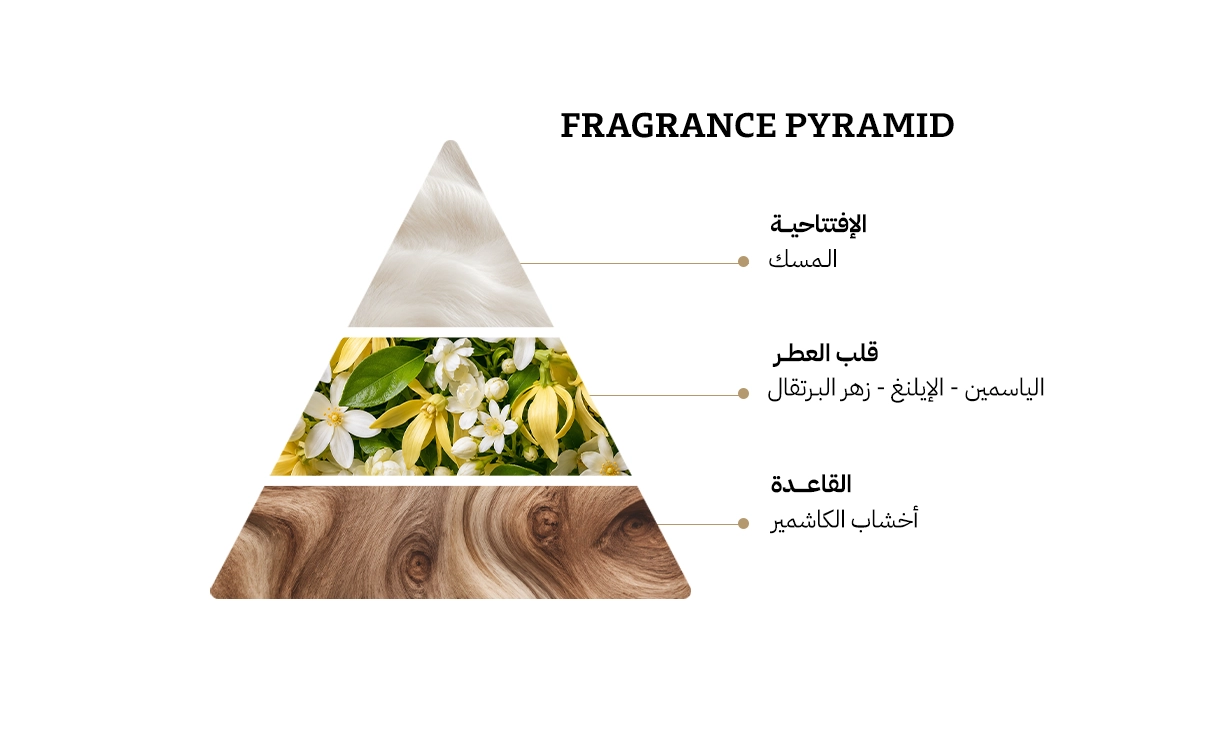 او بي اف مسك دور انتنس سبراي معطر للجسم - 100مل