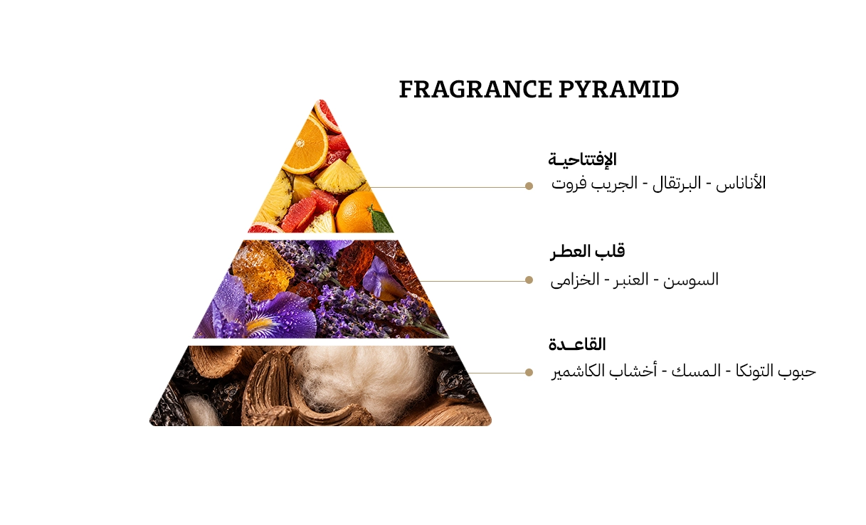 رصاصي هوس ماليبو او دي بارفيوم - 100مل
