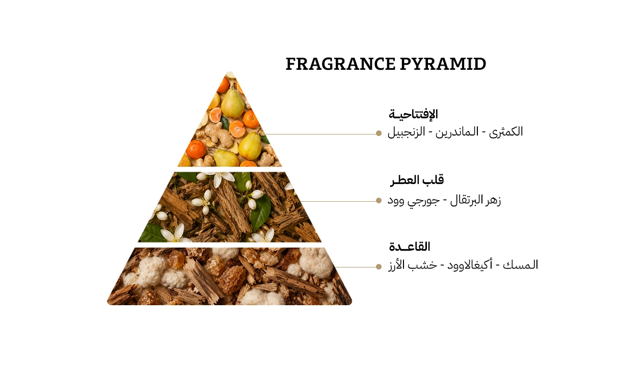 او بي اف اردنت اكستريه دي بارفيوم -50مل